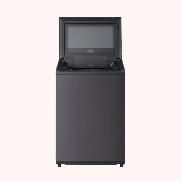 Lavadora LG Carga Superior 23Kg Gris Grafito  - WT23EGTX6.AEGECOL