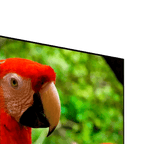 Televisor Challenger 50'pulgadas 4K Smart Google TV UHD